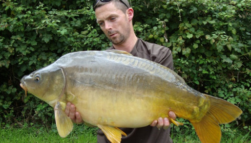 A 21 lb 1 oz carp from Lillypool, Lee Horner, Aug 2014