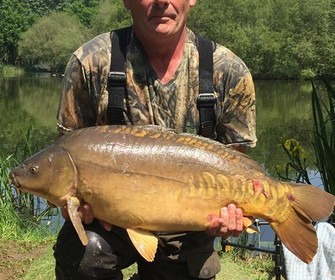 A 23 lb carp from Lillypool, Peter Buckley, May 2018