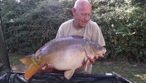 A 31 lb 14 oz carp from Lillypool, Dave Lock, Sep 2016