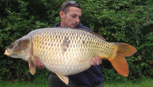 A 33 lb 6 oz carp from Lillypool, Lee Horner, Aug 2014