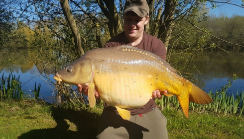 A 28 lb 12 oz carp from Lillypool, Sam lawther, Apr 2017