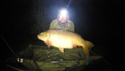A carp from Lillypool, Craig Sheffield, Apr 2016