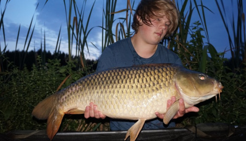 A carp from Lillypool, Callum Gordon, Aug 2015