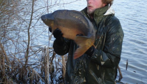 A carp from Lillypool, One of the new stock added in January, Jan 2011