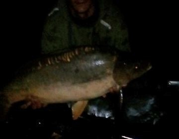 A 25 lb 8 oz carp from Lillypool, Phil Milner, Jul 2017