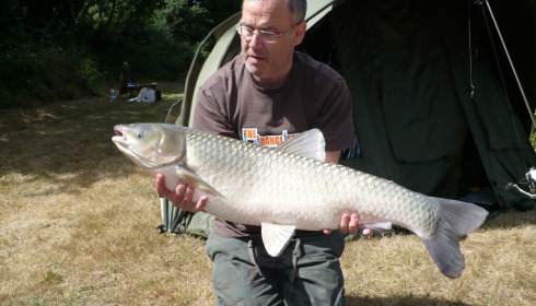 A 24 lb 4 oz grass carp from Lillypool, Andy, Sep 2013