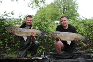 A grass carp from Lillypool, Jae & Josh, May 2022