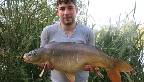 A 22 lb 6 oz carp from Lillypool, Alex Cook, Jun 2014