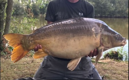 A 45 lb carp from Lillypool, James Barton, Aug 2018