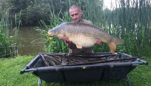 A 31 lb 3 oz carp from Lillypool, Kevin Holbrook, Jun 2016