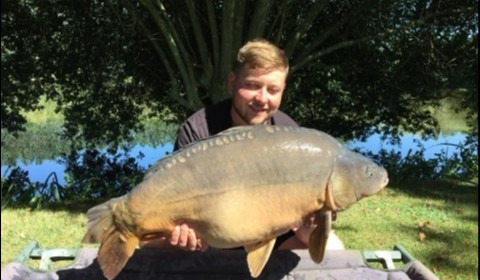 A 31 lb carp from Lillypool, Jack Bradley, Aug 2019
