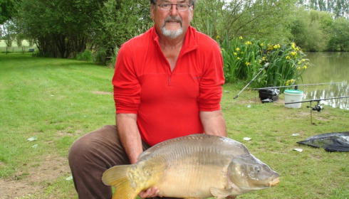 A 31 lb carp from Lillypool, Mick, May 2015