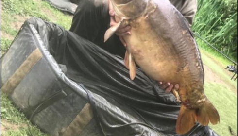 A 41 lb 8 oz carp from Lillypool, Danny Brewster, Jun 2018