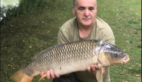 A carp from Lillypool, Dave King, Aug 2019