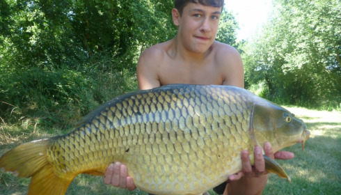 A 31 lb 6 oz carp from Lillypool, Cody Brown, Aug 2013