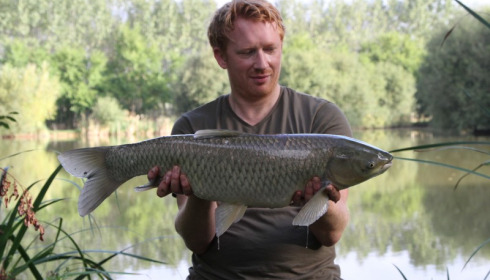 A grass carp from Lillypool, Darren, Oct 2013