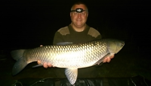 A grass carp from Lillypool, Shane Welch, May 2015