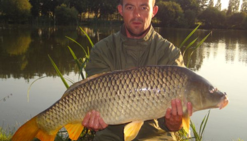 A carp from Lillypool, Antony Dixon, May 2011