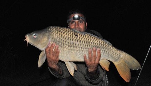 A carp from Lillypool, Hunjan Brothers, Jun 2012