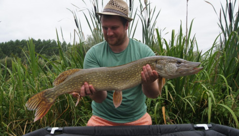 A fish from Lillypool, Alex Timney, Jul 2015