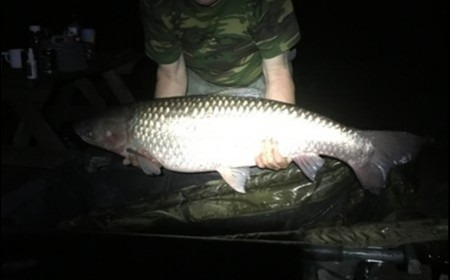 A 36 lb grass carp from Lillypool, Alan Polley, Aug 2018