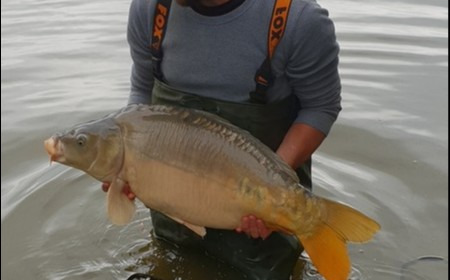 A 24 lb 4 oz carp from Lillypool, Matthew Piggott, Jul 2018