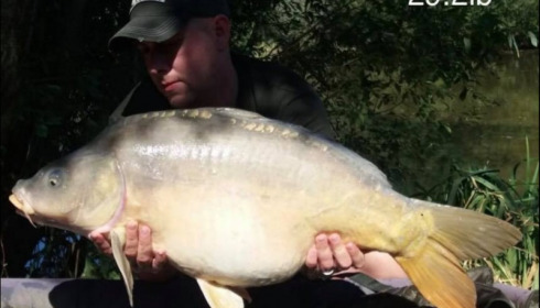 A 29 lb 2 oz carp from Lillypool, Dean Finch, Sep 2018