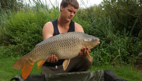 A 25 lb carp from Lillypool, Steve Perry, Aug 2014