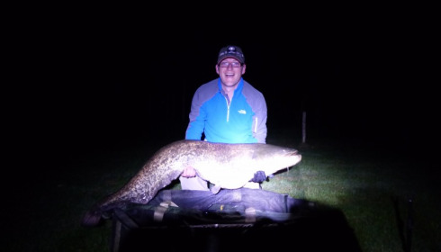 A 47 lb 7 oz catfish from Lillypool, Ben Lugsden, May 2015