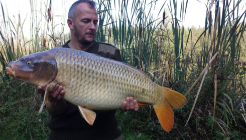 A carp from Lillypool, David Dyson