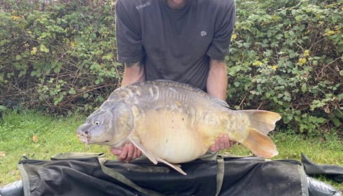 A 33 lb carp from Lillypool, Paul Fitzgibbons, Sep 2022