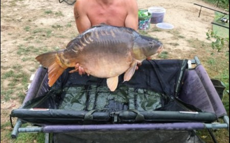 A 35 lb 8 oz carp from Lillypool, Phil Milner, Aug 2018