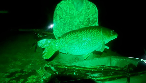 A 36 lb fish from Lillypool, Peter Buckley, Jun 2022