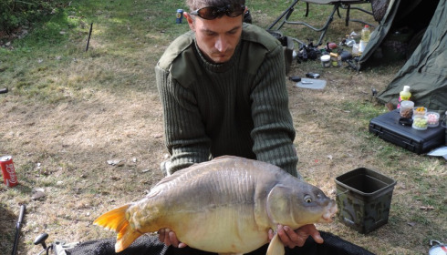 A 22 lb carp from Lillypool, Phil Milner, Oct 2016