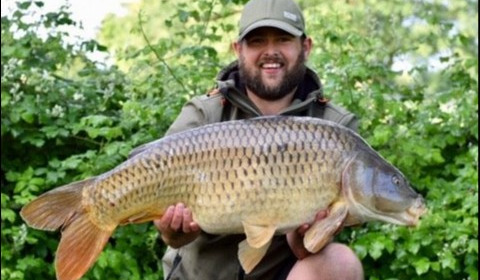 A 27 lb 1 oz carp from Lillypool, Will Fisher, Jun 2019