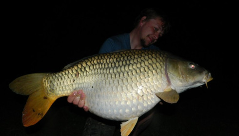 A 31 lb carp from Lillypool, Huw, Mar 2012