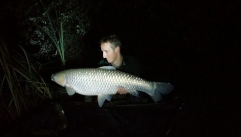A 36 lb 4 oz grass carp from Lillypool, Jason Kennerley, Oct 2017