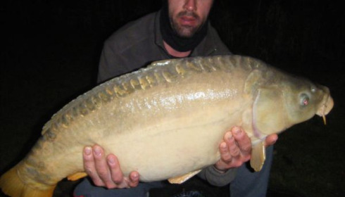 A carp from Lillypool, Glenn, May 2010