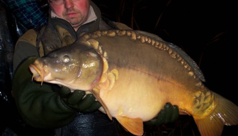 A carp from Lillypool, Fish stocked Dec 09, Dec 2009