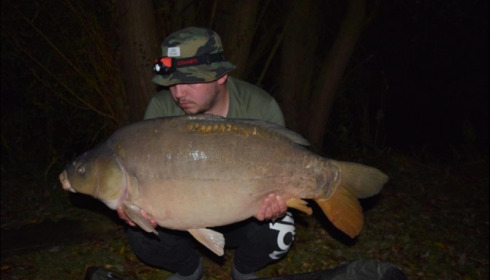 A 31 lb carp from Lillypool, Tony Holsten, Sep 2019