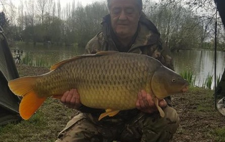 A 24 lb carp from Lillypool, Terry Biggs, Apr 2018