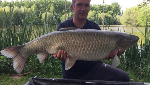 A 32 lb grass carp from Lillypool, Mark Russell, May 2017
