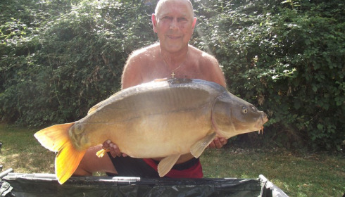 A 31 lb carp from Lillypool, Dave Lock, Sep 2016