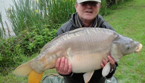 A 29 lb carp from Lillypool, Ken King, May 2014