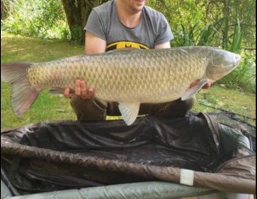 A 30 lb 8 oz grass carp from Lillypool, Shaun Cowley, Aug 2019