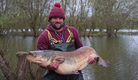 A 74 lb catfish from Lillypool, James Rabjohns, Apr 2018