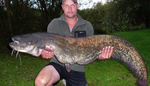 A 50 lb 8 oz catfish from Lillypool, Martin Daws, Sep 2015