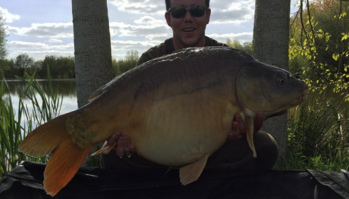 A 32 lb carp from Lillypool, Will, May 2016