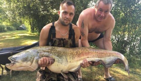 A 61 lb catfish from Lillypool, Jason Polley, Jul 2017