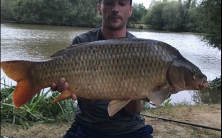 A 25 lb carp from Lillypool, James Barton, Aug 2018
